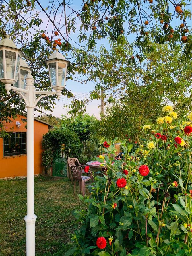 Vivienda Vacacional El Majo Pola de Siero Exterior foto